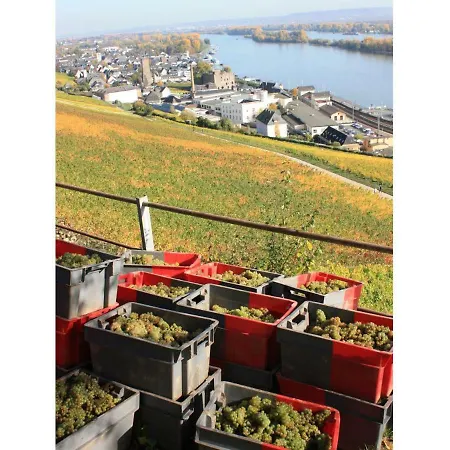 Dreimaedelhof Апартаменты *