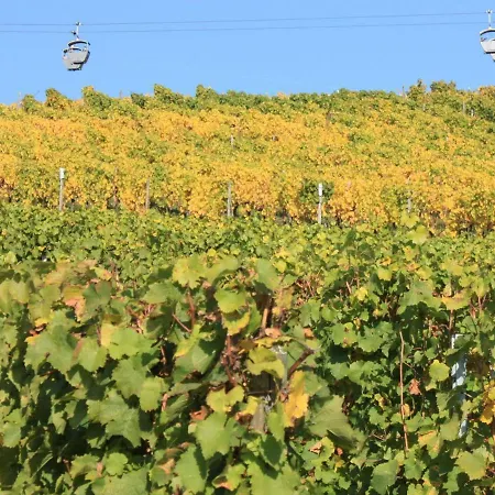 Dreimaedelhof Appartement Rüdesheim am Rhein