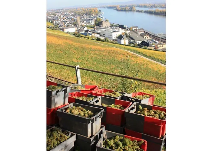 Dreimaedelhof Apartment *