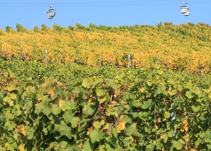 Dreimaedelhof Lejlighed Rüdesheim am Rhein